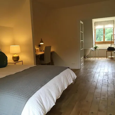 לינה וארוחת בוקר Chateau De Belespy La Bastide-de-Besplas