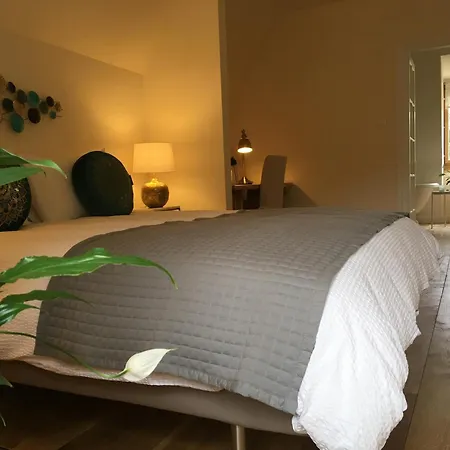 Bed & Breakfast Chateau De Belespy La Bastide-de-Besplas